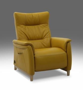 DM-10813 NC-303E/NO/1SS1B SOFA CHAIR